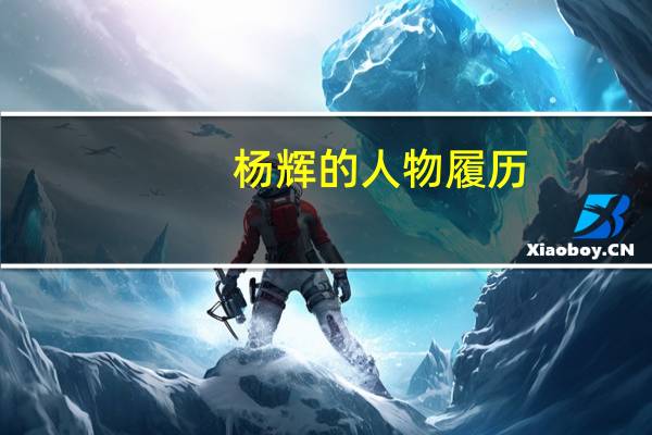 杨辉的人物履历