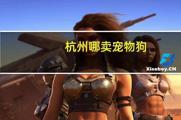 杭州哪卖宠物狗