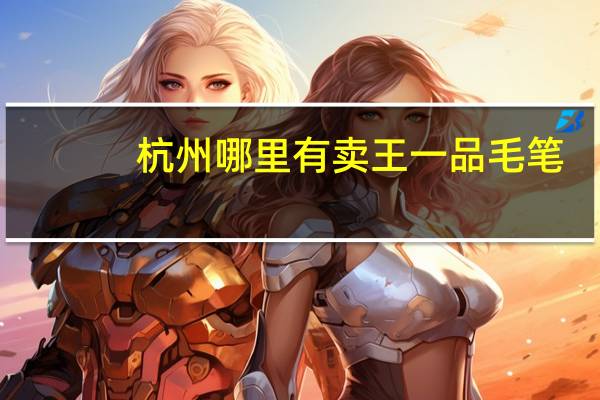 杭州哪里有卖王一品毛笔