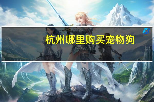 杭州哪里购买宠物狗