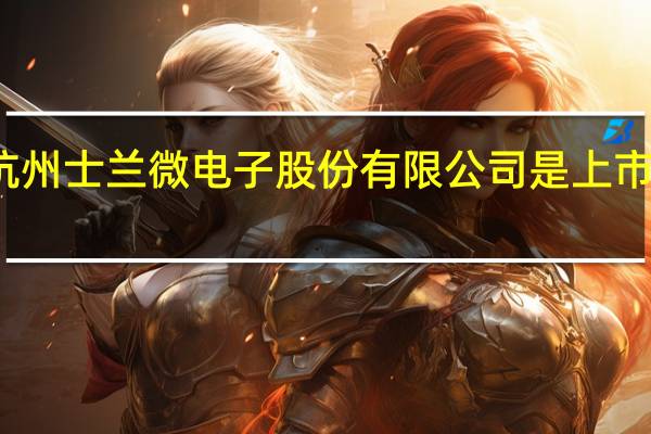 杭州士兰微电子股份有限公司是上市公司吗（陈向东-杭州士兰微电子股份有限公司董事长介绍）