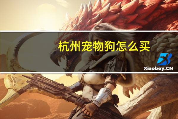 杭州宠物狗怎么买
