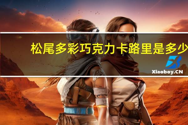 松尾 多彩巧克力卡路里是多少