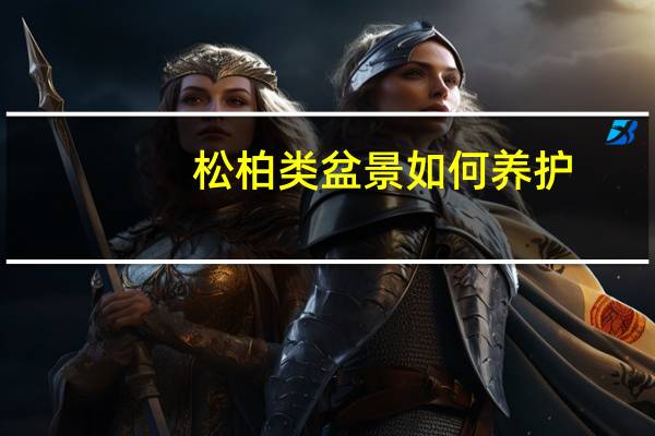 松柏类盆景如何养护