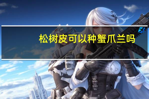松树皮可以种蟹爪兰吗