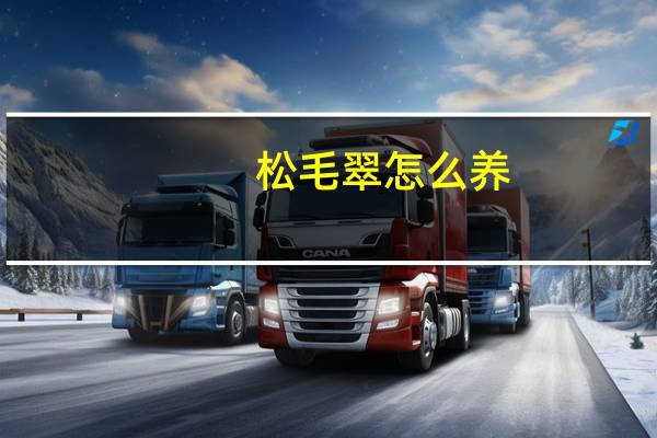 松毛翠怎么养