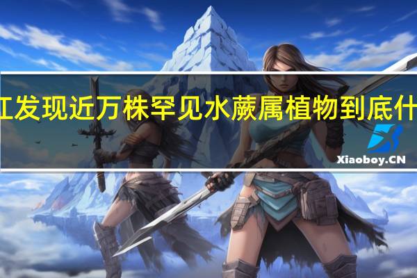 松江发现近万株罕见水蕨属植物 到底什么情况嘞