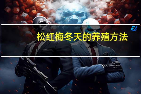 松红梅冬天的养殖方法