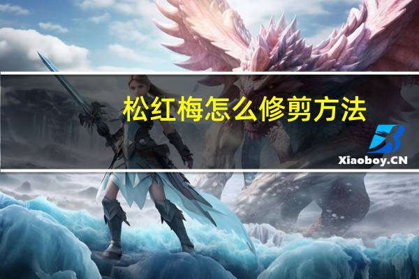 松红梅怎么修剪方法