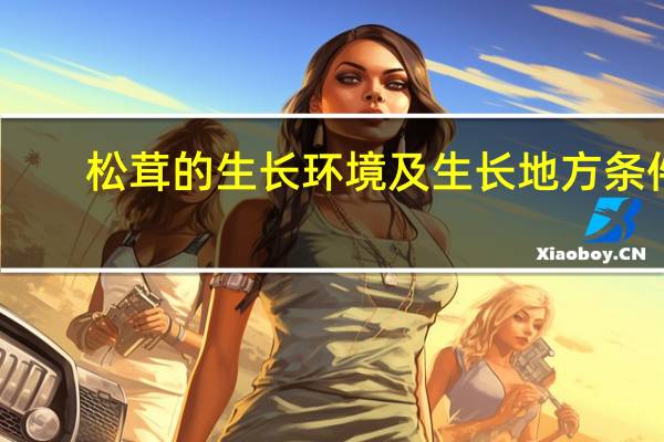 松茸的生长环境及生长地方条件