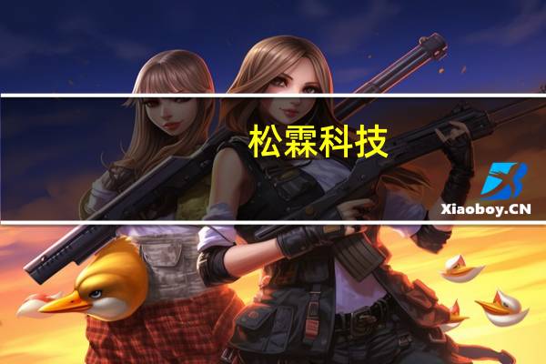 松霖科技：美容健康品类以TOB业务为主目前不做自有品牌