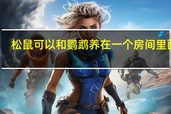 松鼠可以和鹦鹉养在一个房间里面吗