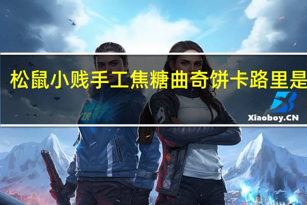 松鼠小贱 手工焦糖曲奇饼卡路里是多少