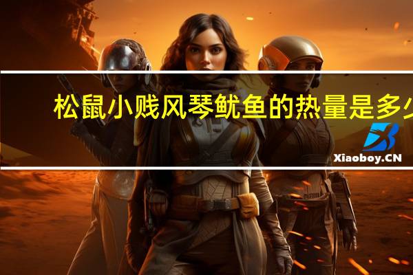 松鼠小贱 风琴鱿鱼的热量是多少