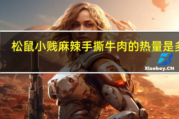 松鼠小贱 麻辣手撕牛肉的热量是多少