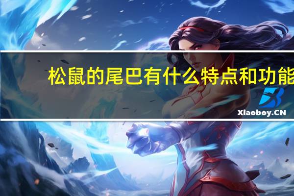 松鼠的尾巴有什么特点和功能（松鼠的尾巴有什么作用）