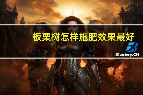 板栗树怎样施肥效果最好