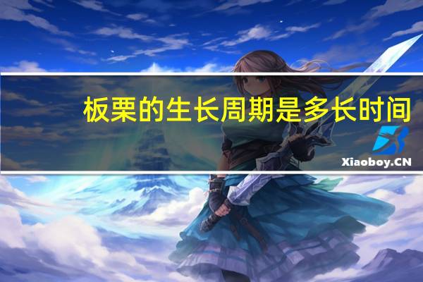板栗的生长周期是多长时间