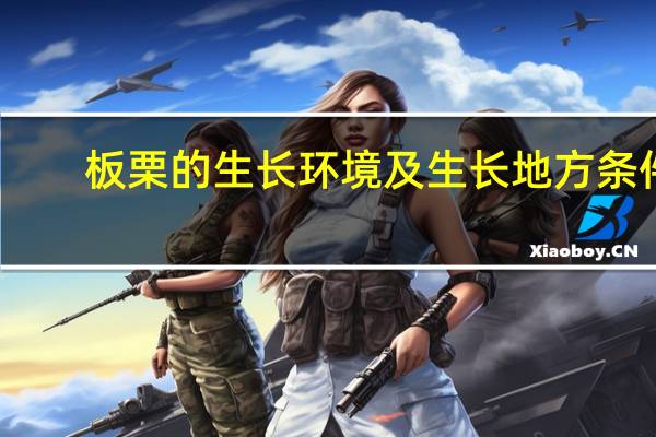 板栗的生长环境及生长地方条件