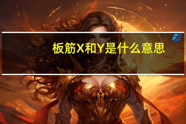 板筋X和Y是什么意思