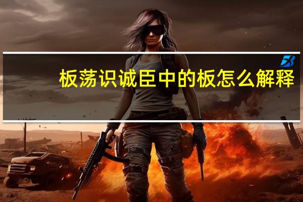 板荡识诚臣中的板怎么解释