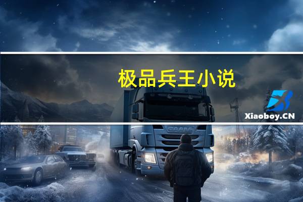 极品兵王 小说（极品兵王-看书网作者血欲作品简介）