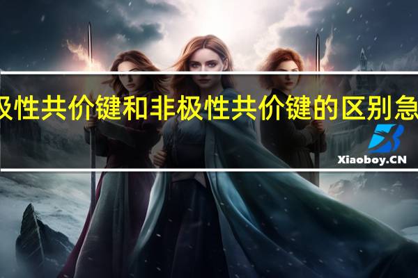 极性共价键和非极性共价键的区别急清楚点