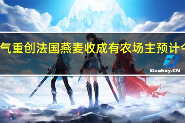 极端天气重创法国燕麦收成有农场主预计今年减产五成