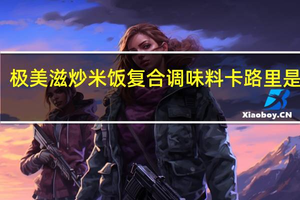 极美滋 炒米饭复合调味料卡路里是多少