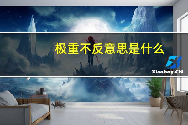 极重不反意思是什么