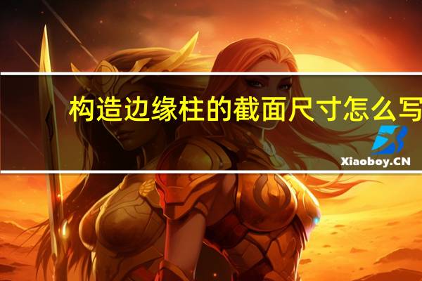 构造边缘柱的截面尺寸怎么写