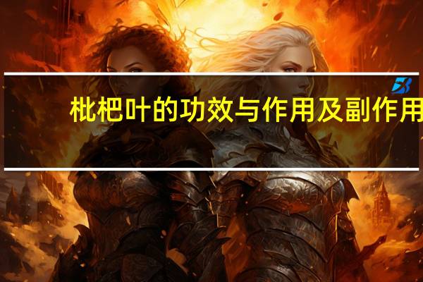 枇杷叶的功效与作用及副作用（枇杷叶的功效与作用）