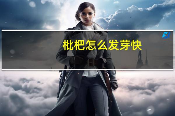 枇杷怎么发芽快