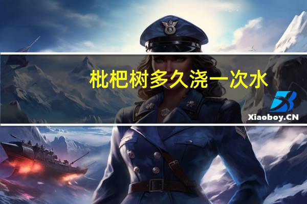 枇杷树多久浇一次水
