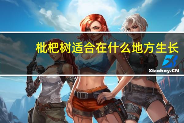 枇杷树适合在什么地方生长