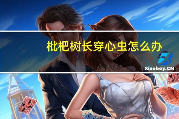 枇杷树长穿心虫怎么办
