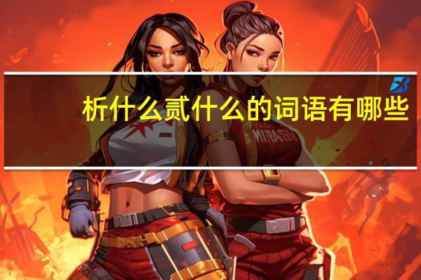 析什么贰什么的词语有哪些?