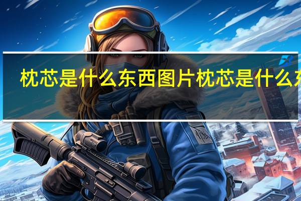 枕芯是什么东西图片 枕芯是什么东西