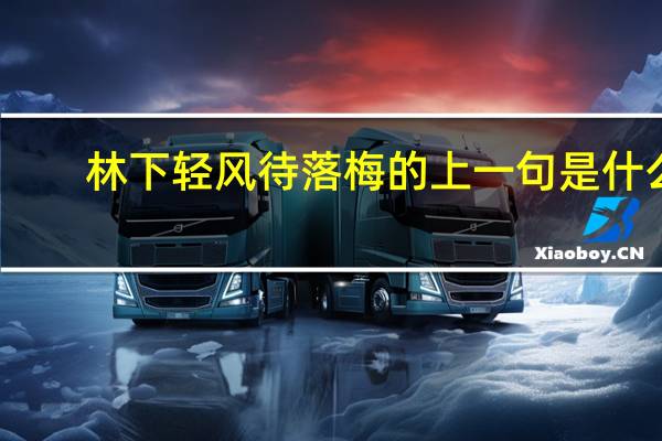 林下轻风待落梅的上一句是什么