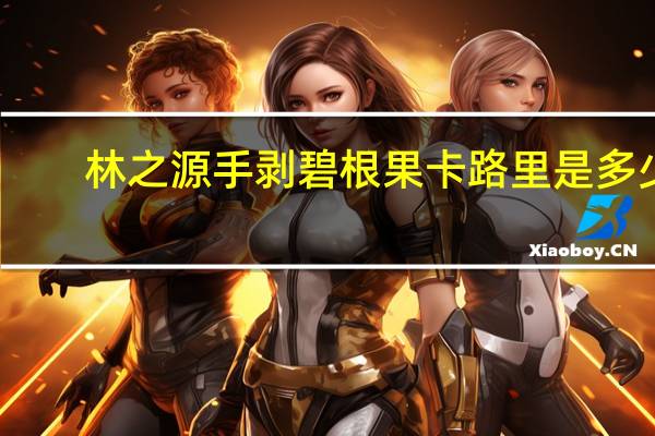 林之源 手剥碧根果卡路里是多少