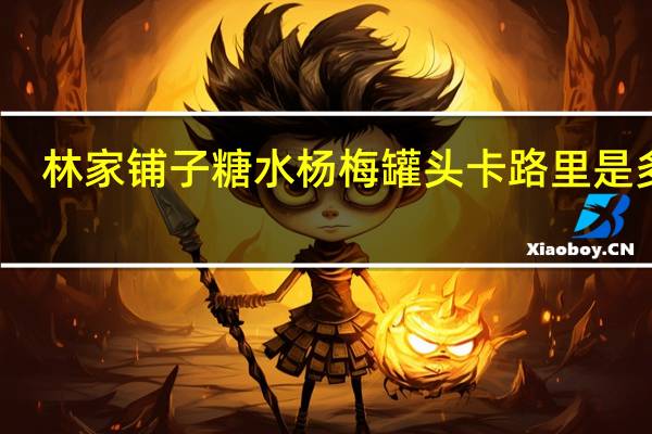 林家铺子 糖水杨梅罐头卡路里是多少