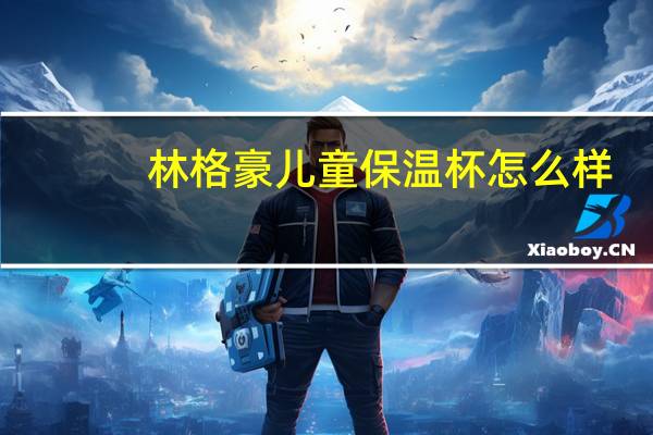 林格豪儿童保温杯怎么样