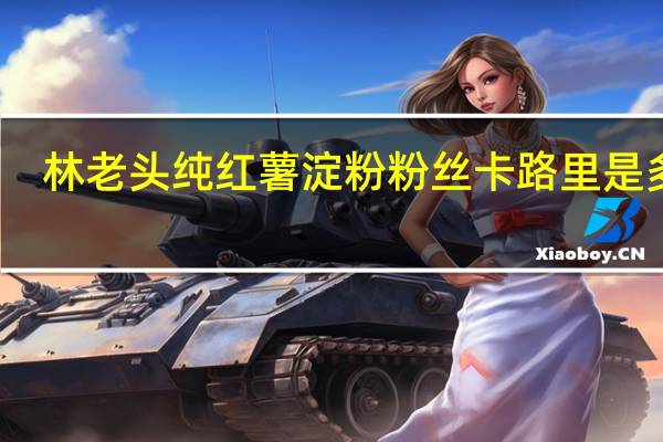 林老头 纯红薯淀粉粉丝卡路里是多少