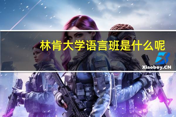 林肯大学语言班是什么呢
