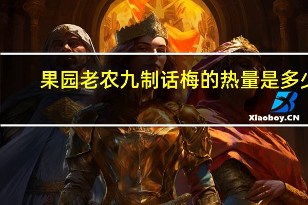 果园老农九制话梅的热量是多少
