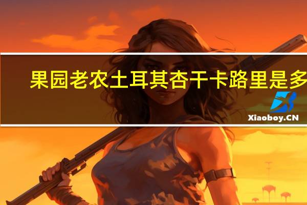 果园老农土耳其杏干卡路里是多少