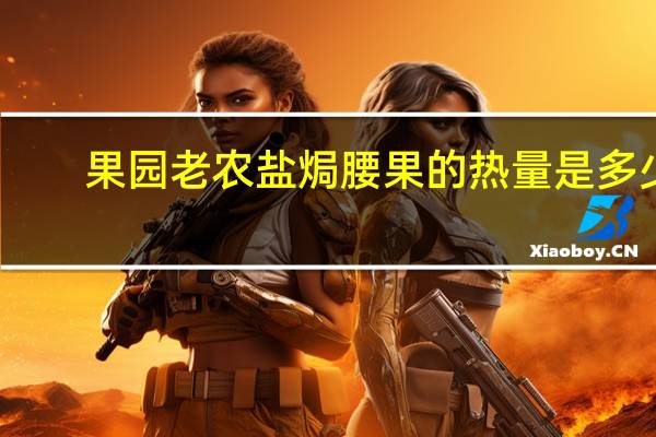 果园老农 盐焗腰果的热量是多少