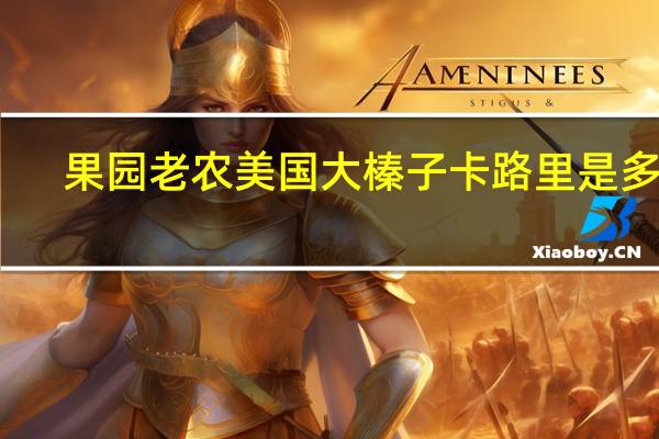 果园老农 美国大榛子卡路里是多少