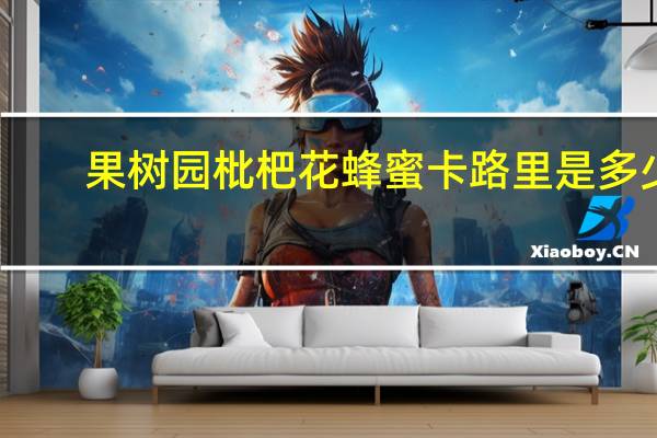 果树园 枇杷花蜂蜜卡路里是多少