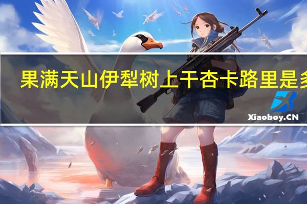 果满天山 伊犁树上干杏卡路里是多少